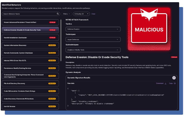 CodeHunter Malware Analysis - Blue Background