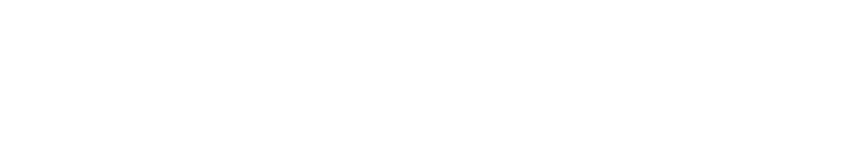 CodeHunter-Logo-White-R CodeHunter