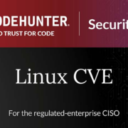 linux cve