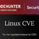 linux cve