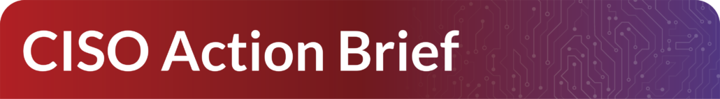 secbriefsection ciso action brief